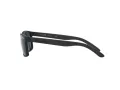 Arnette Slickster Ochelari de Soare AN 4185 218887 59