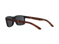 Arnette Slickster Ochelari de Soare AN 4185 227381 59