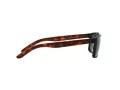 Arnette Slickster Ochelari de Soare AN 4185 227381 59