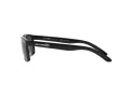 Arnette Slickster Ochelari de Soare AN 4185 41/81 59