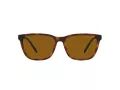 Arnette Cortex Ochelari de Soare AN 4291 277083