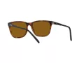 Arnette Cortex Ochelari de Soare AN 4291 277083