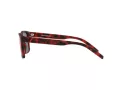 Arnette Bandra Ochelari de Soare AN 4298 27956Q