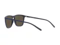 Arnette Fry Ochelari de Soare AN 4301 275922