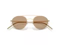 Giorgio Armani Ochelari de Soare AR 6169 300263