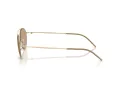 Giorgio Armani Ochelari de Soare AR 6169 300263