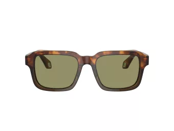 Giorgio Armani Ochelari de Soare AR 8194U 598814 53