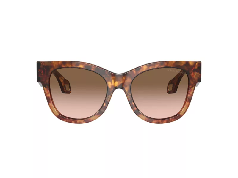 Giorgio Armani Ochelari de Soare AR 8195U 603351
