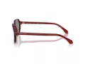 Giorgio Armani Ochelari de Soare AR 8220 617056