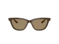 Giorgio Armani Ochelari de Soare AR 8221 595753