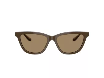 Giorgio Armani Ochelari de Soare AR 8221 595753