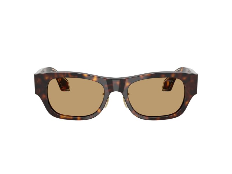 Giorgio Armani Ochelari de Soare AR 8224 502673