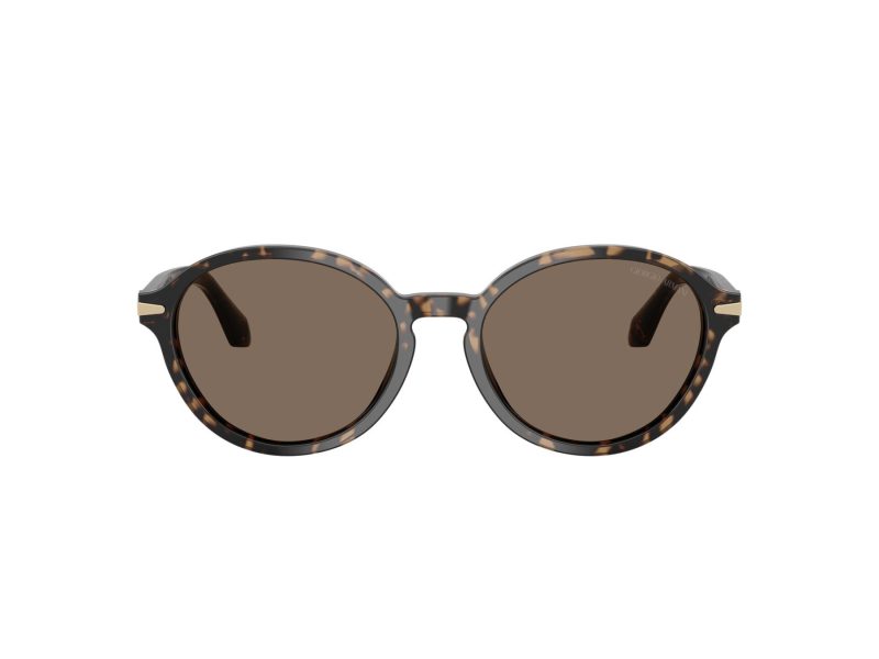 Giorgio Armani Ochelari de Soare AR 8237 623573