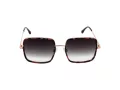 Bulget Ochelari de Soare BG Y3006 G22 54