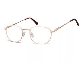 Berkeley ochelari protecție calculator 794C 49