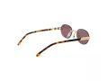 Carrera Ochelari de Soare CA 1088/S 06J/70 53