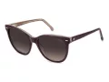 Carrera Ochelari de Soare CA 3043/S 0T7/HA