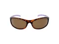 Champion Ochelari de Soare CUW 5207 C02 64