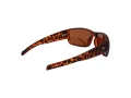 Champion Ochelari de Soare CU 5146 C03 63