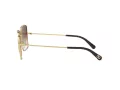 Dolce & Gabbana Ochelari de Soare DG 2242 02/13
