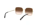 Dolce & Gabbana Ochelari de Soare DG 2242 02/13