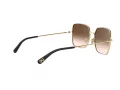 Dolce & Gabbana Ochelari de Soare DG 2242 02/13