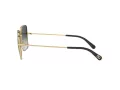 Dolce & Gabbana Ochelari de Soare DG 2242 1334/8G 57
