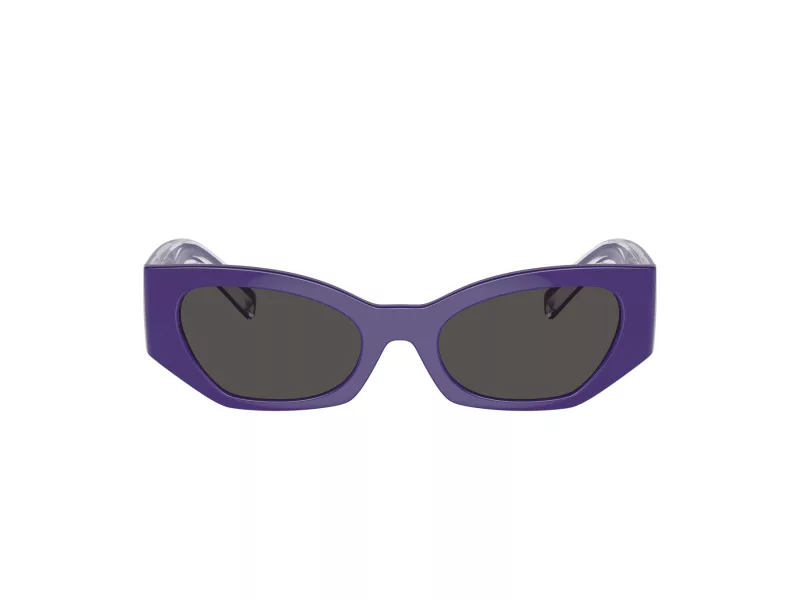 Dolce & Gabbana Kids Ochelari de Soare DX 6003 333587 48