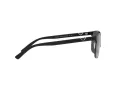 Emporio Armani Ochelari de Soare EA 2134 300187