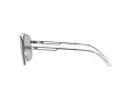 Emporio Armani Ochelari de Soare EA 2139 300387