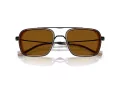 Emporio Armani Ochelari de Soare EA 2162 300163 54