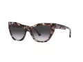 Emporio Armani Ochelari de Soare EA 4176 54108G