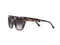 Emporio Armani Ochelari de Soare EA 4176 54108G