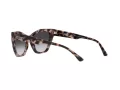 Emporio Armani Ochelari de Soare EA 4176 54108G
