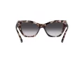 Emporio Armani Ochelari de Soare EA 4176 54108G