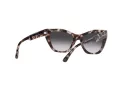 Emporio Armani Ochelari de Soare EA 4176 54108G
