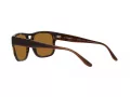 Emporio Armani Ochelari de Soare EA 4197 587983 57