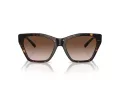 Emporio Armani Ochelari de Soare EA 4203U 502613 55