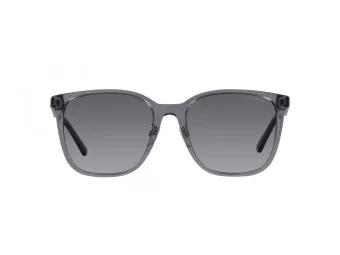 Emporio Armani Ochelari de Soare EA 4206D 5029T3