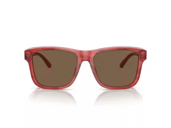 Emporio Armani Ochelari de Soare EA 4208 605373 56