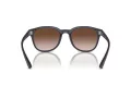 Emporio Armani Ochelari de Soare EA 4225U 508813 53