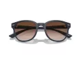 Emporio Armani Ochelari de Soare EA 4225U 508813 53