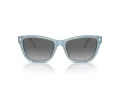 Emporio Armani Ochelari de Soare EA 4227U 609611 56