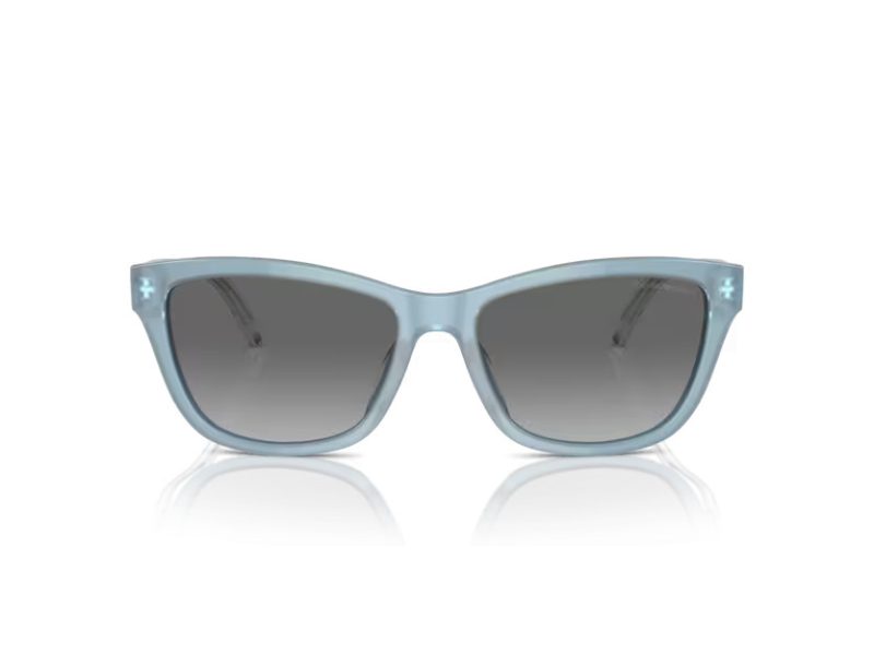 Emporio Armani Ochelari de Soare EA 4227U 609611