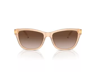 Emporio Armani Ochelari de Soare EA 4227U 609813 56