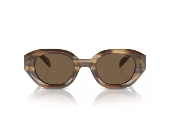 Emporio Armani Ochelari de Soare EA 4230U 614973 48