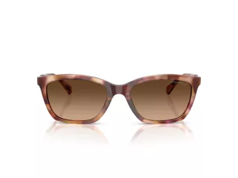 Emporio Armani Ochelari de Soare EA 4238 619674 54