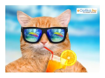 Lavetă pentru ochelari