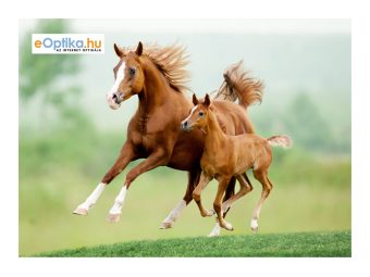 Lavetă pentru ochelari