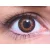 ColourVUE 3 Tones Brown (2 lentile)